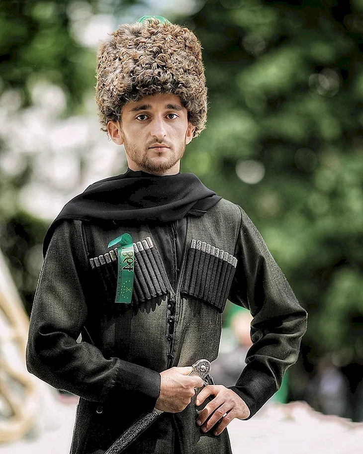 Адыги и адыгейцы