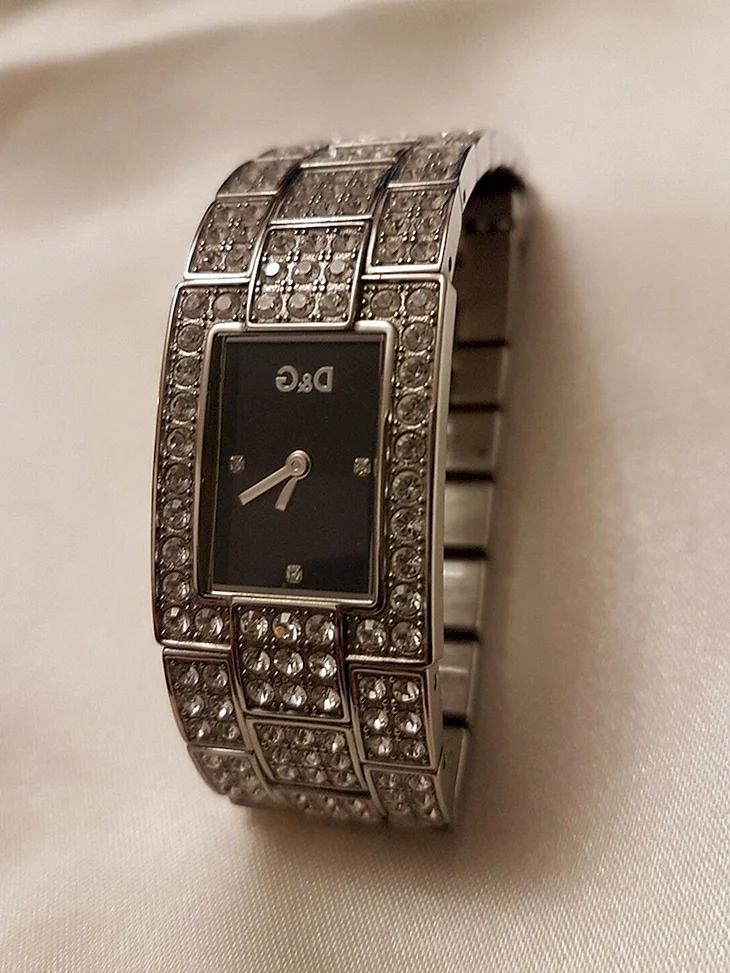 Часы d&g 3729250293