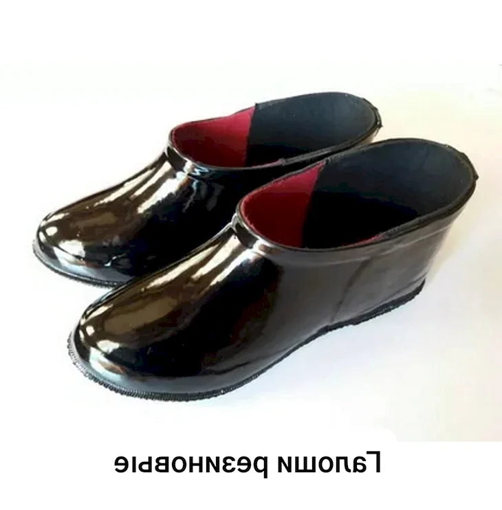 Ecco резиновые галоши 211205/100