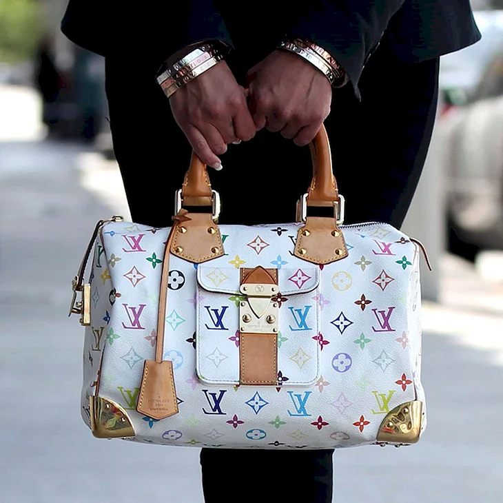 Louis Vuitton Multicolor Speedy 30