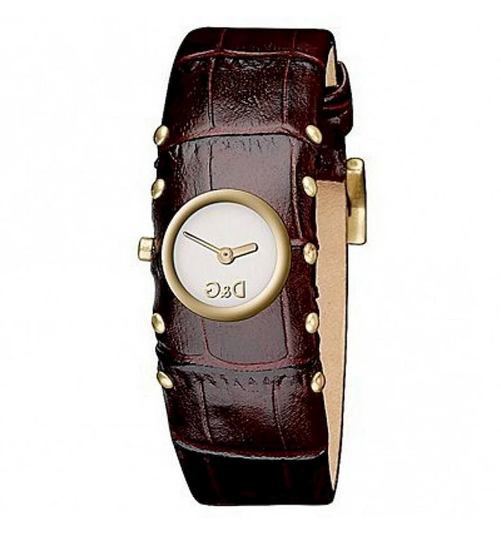 Наручные часы Dolce & Gabbana DG-dw0053