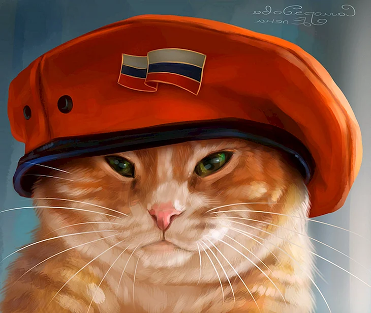 Рыжий кот в каске