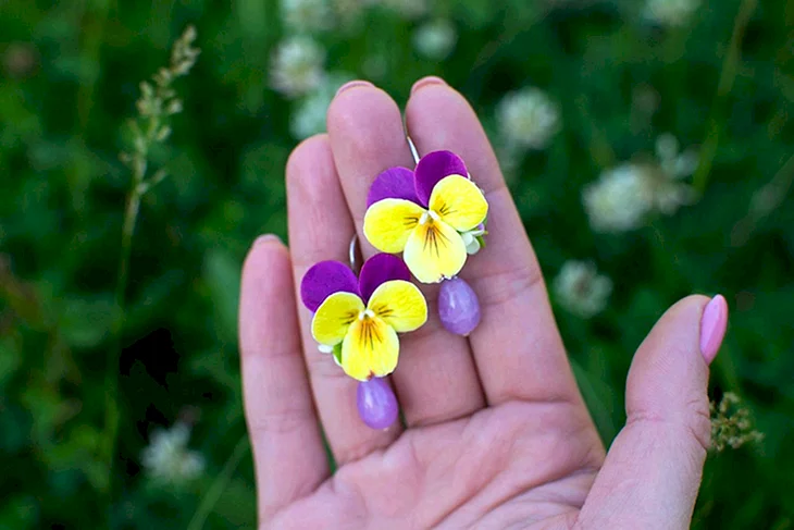 Сережки Анютины глазки
