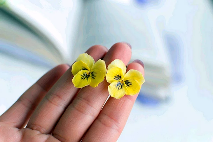 Сережки Анютины глазки