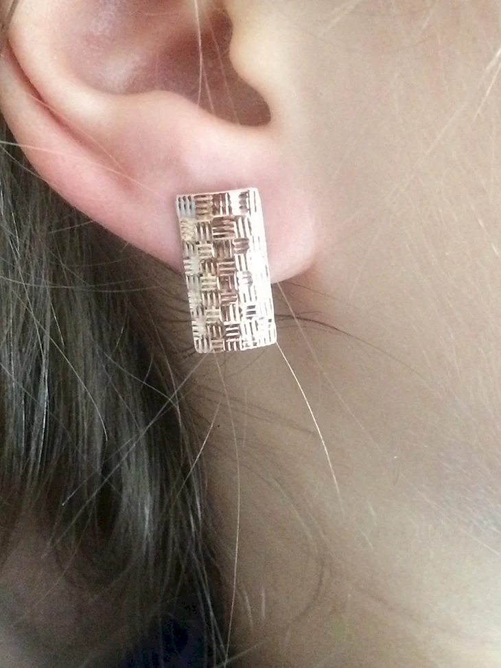 Сережки пластины