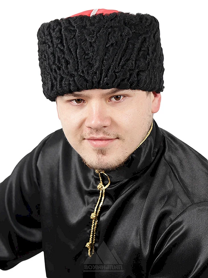 Шапка Пильников мужская