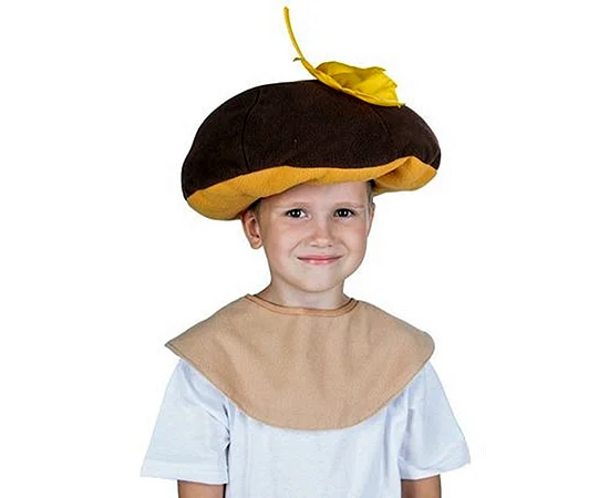Шапочка гриб Боровик (9389)