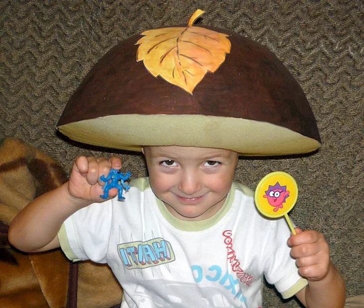 Шапочка гриб Боровик с2004