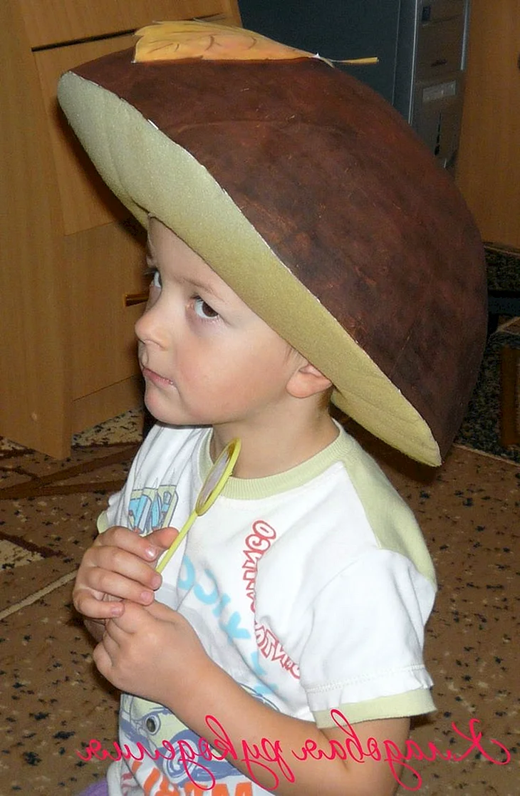 Шапочка гриб Боровик с2004