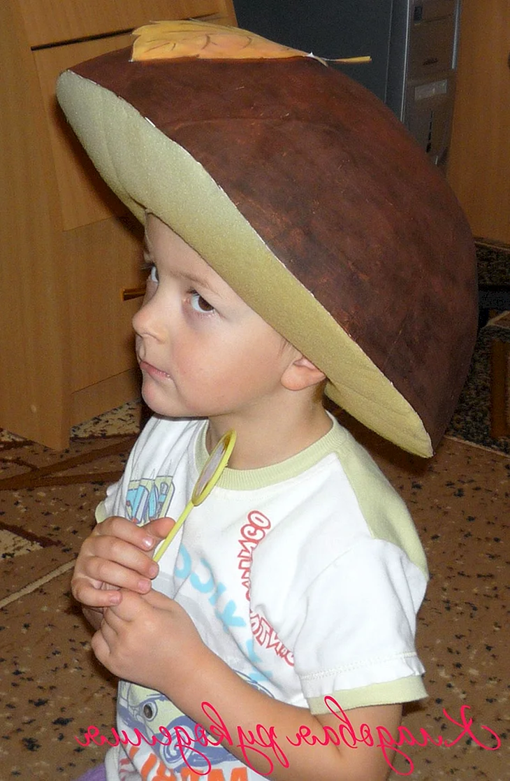 Шапочка гриб Боровик с2004
