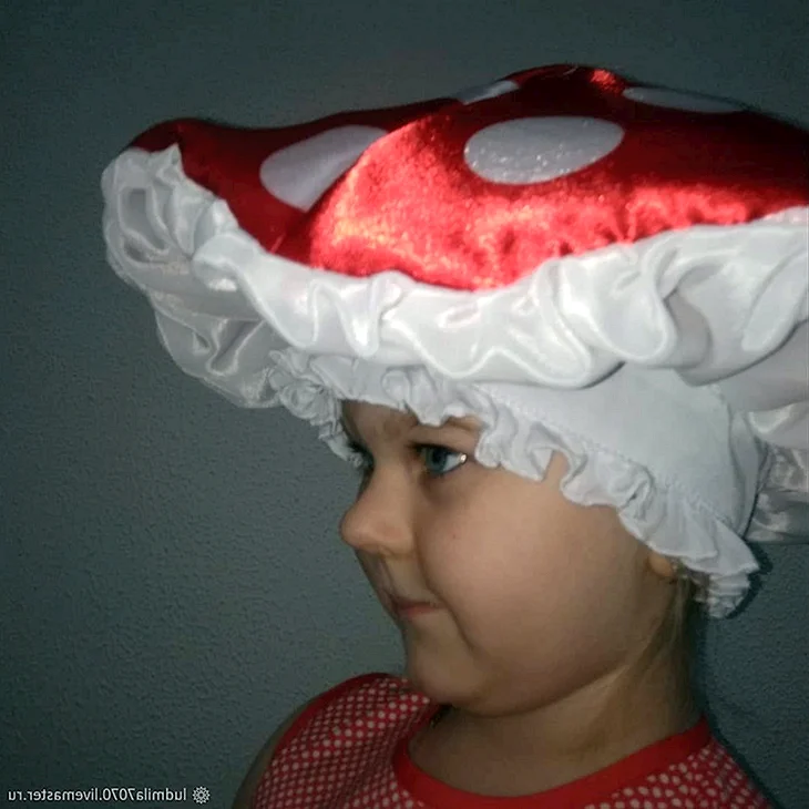 Шляпка мухомора