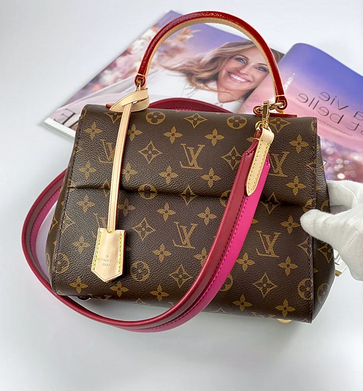 Сумка Louis Vuitton Cluny BB Epi