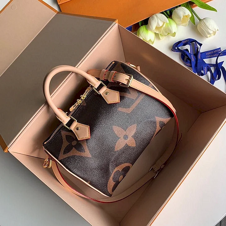 Сумка Louis Vuitton Speedy 30
