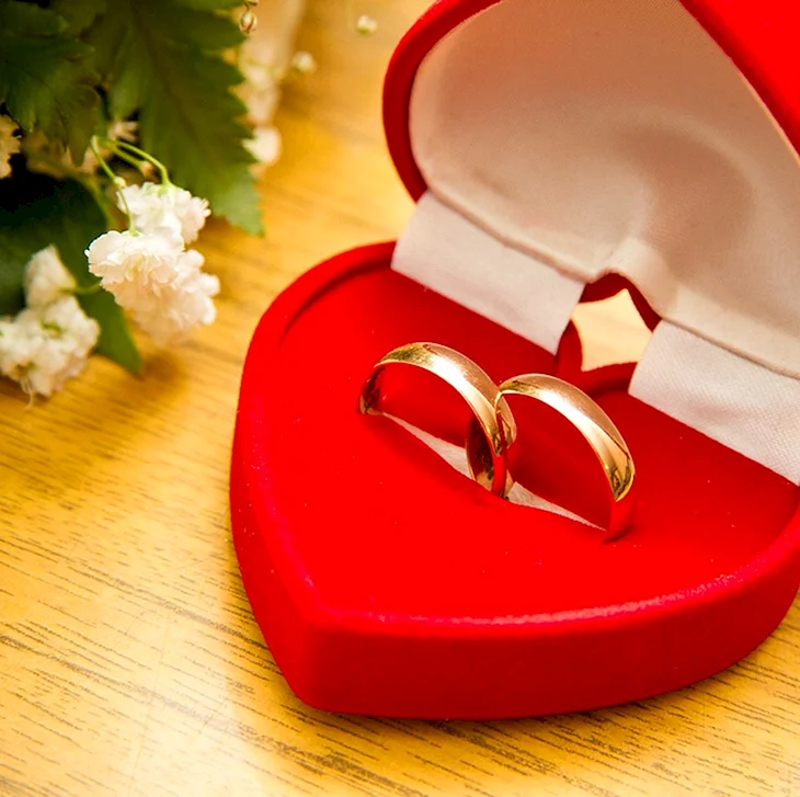 Свадебные кольца в коробочке