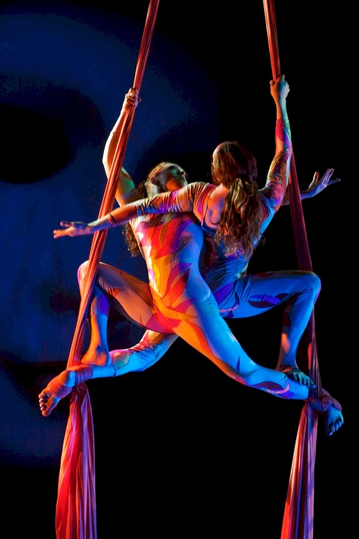 Воздушные полотна Aerial Silks