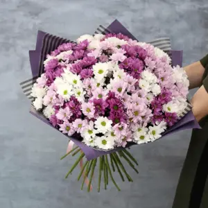 35 Кустовых хризантем