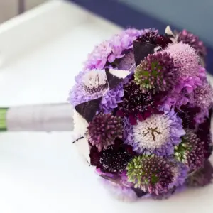 Георгины Purple Bouquet Anemone