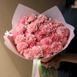 Гвоздика Диантус