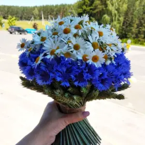 Ханс Эмменеггер букет Васильков
