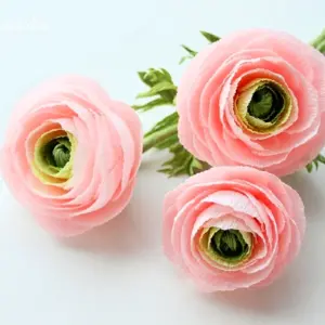 Ранункулюс
