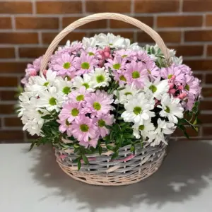Ромашка Хризантема Сантини корзина