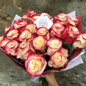 Роза Эквадор Свитнесс