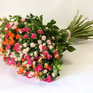 Роза кустовая микс