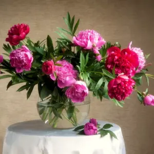Сергей Алексеев пионы