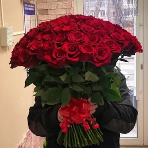 101 Роза Эквадор 50 см