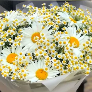 Букет ромашек