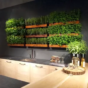 Фитостена в интерьере кухни