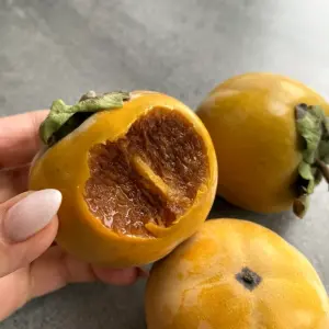 Хурма шоколадная Королек