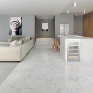 Marble trend k-1000LR60x60x10s1 Carrara