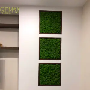Мох ягель на стене