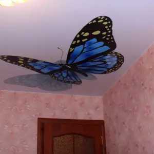 Натяжные потолки с бабочками