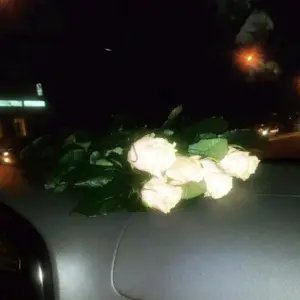 Розы в машине ночью