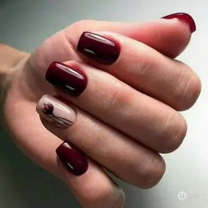 Шеллак бордо вишня 2020